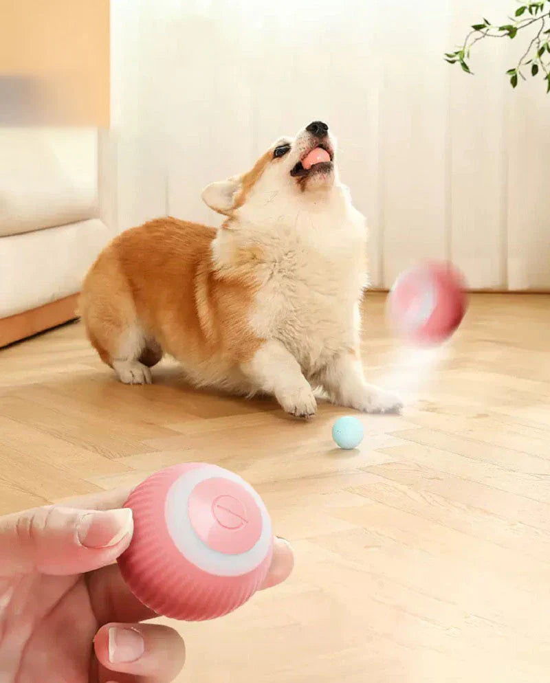 Pelota Interactiva
