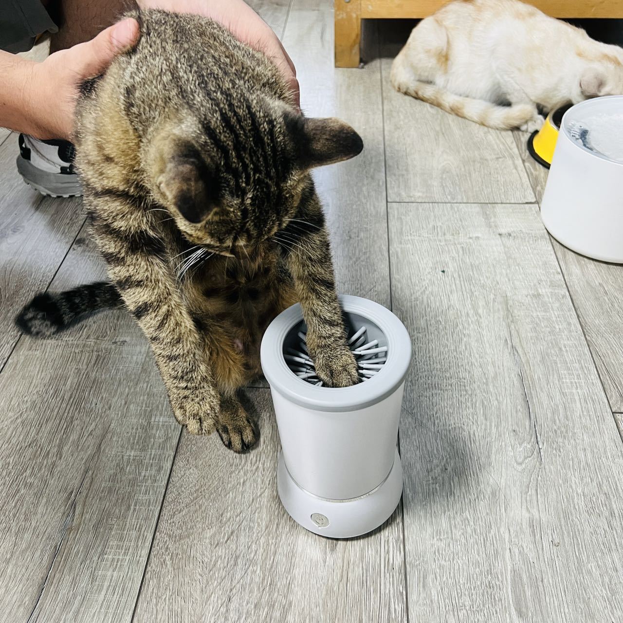 Lava Patas Eléctrico para perros y gatos recargable